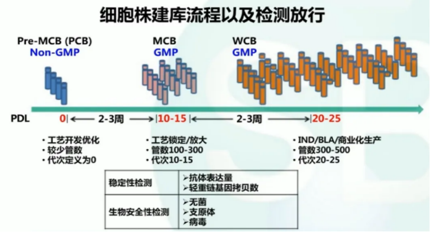 细胞库建立,如何选择合适的液氮罐 - 知乎