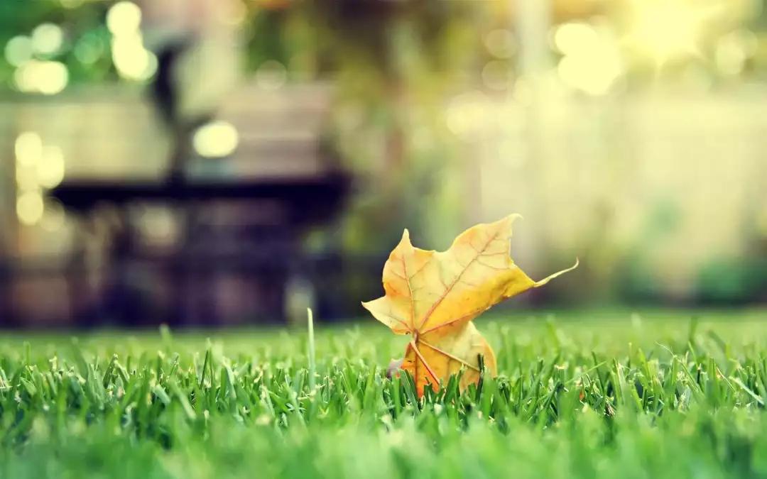 v2-c6c25c270e737ac6a8fbddc4a9ed7744_1440w.jpg?source=172ae18b