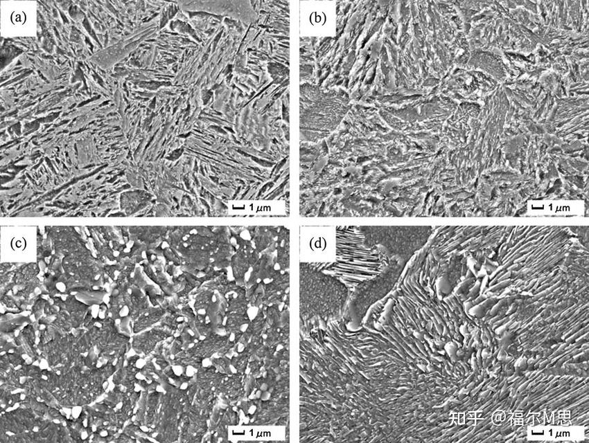 针状马氏体 屈氏体图片