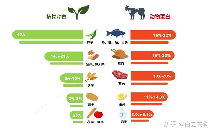 蛋白质分哪几种?如果要补充蛋白质需要怎么补充?
