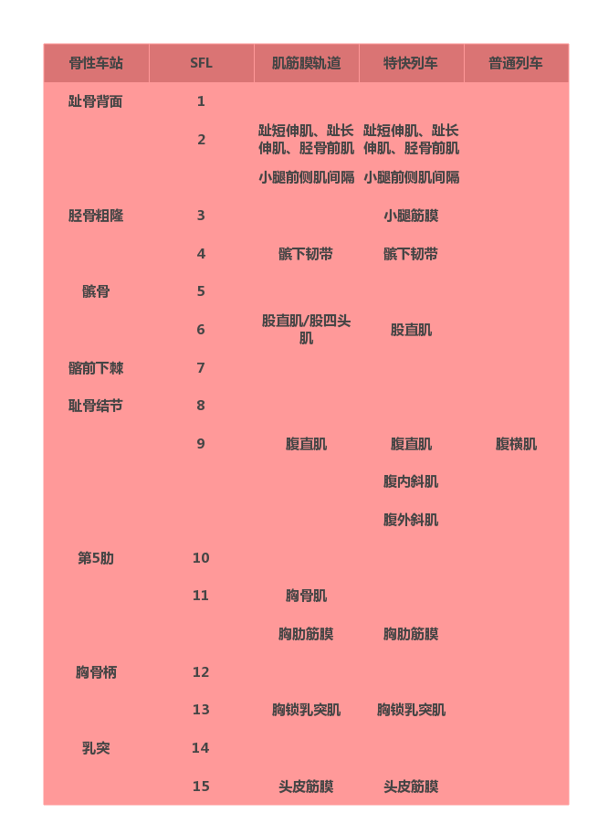 我的力量从何来 +=《深入浅出筋膜学》=> 前/后表线理论篇（I） - 知乎