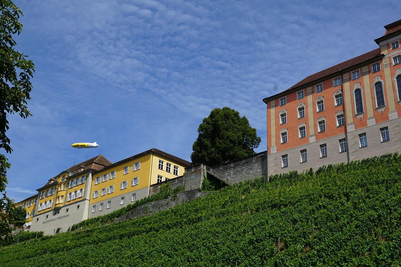 亲子时光的温暖