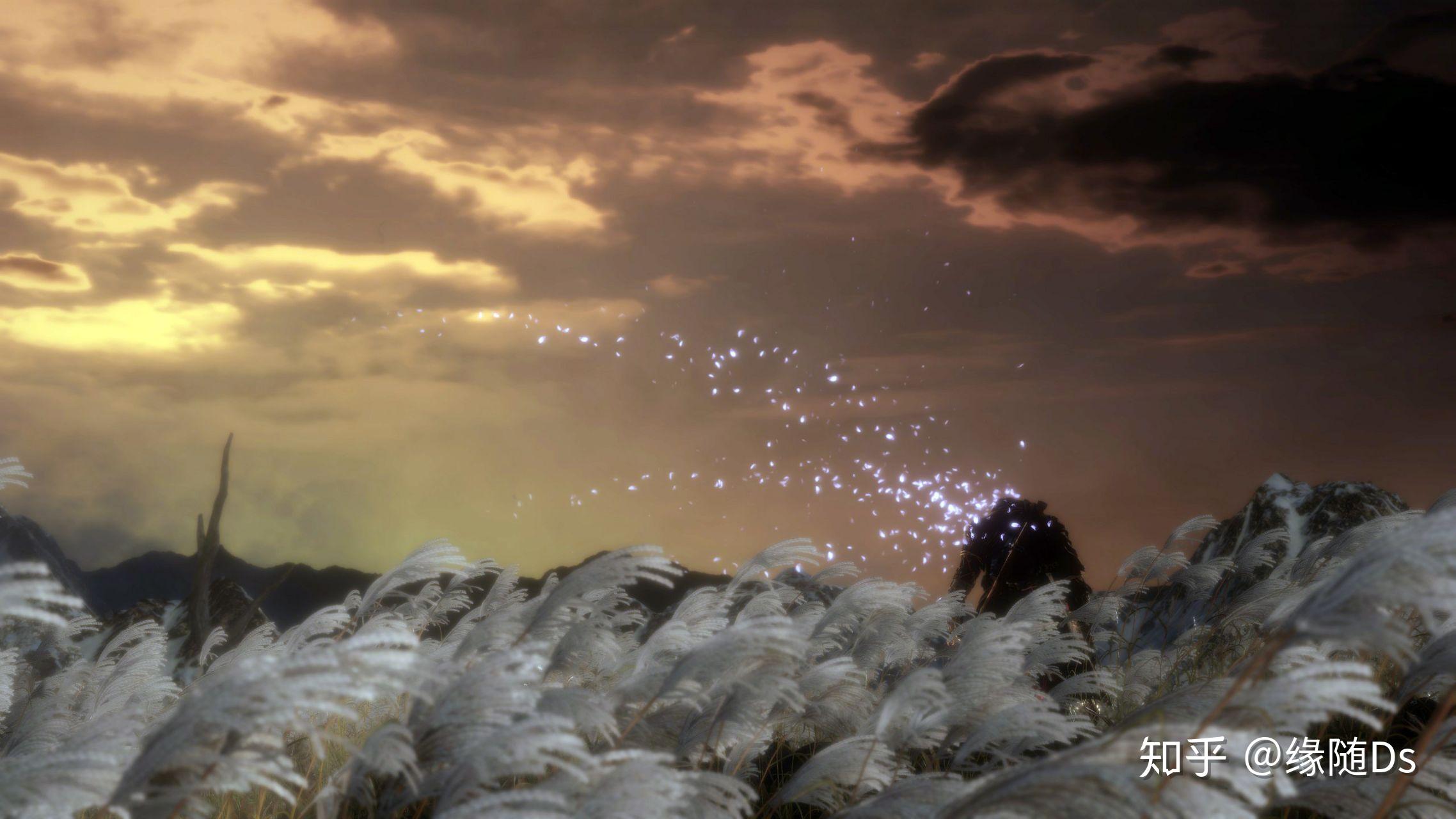 各位有没有只狼的高清壁纸? - 知乎