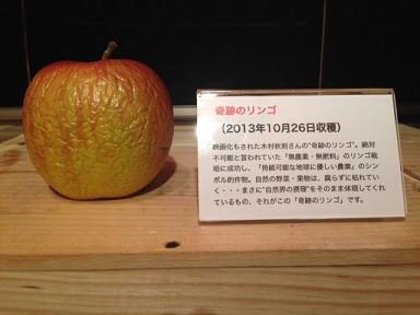 木村秋则的苹果2年不腐烂是真的吗?什么原因? - 知乎