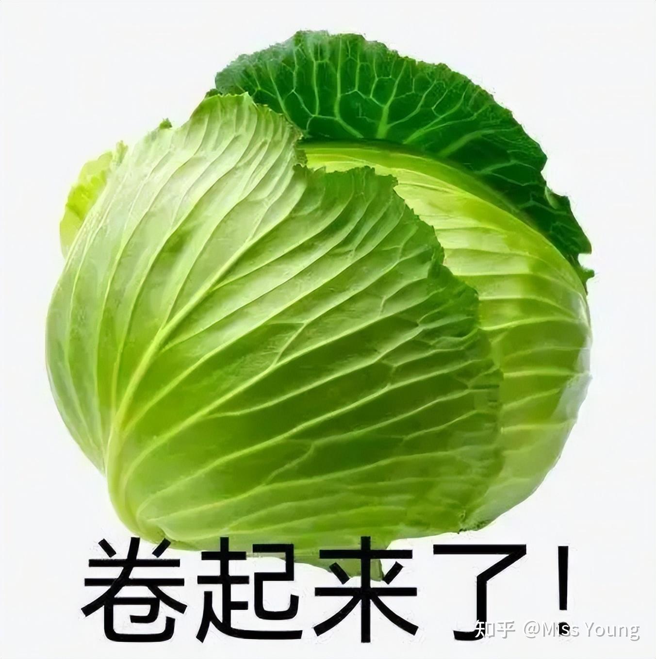 靠牙签腿再度回归？！被惨骂10年后，互联网还是最吃她的审美… - 知乎