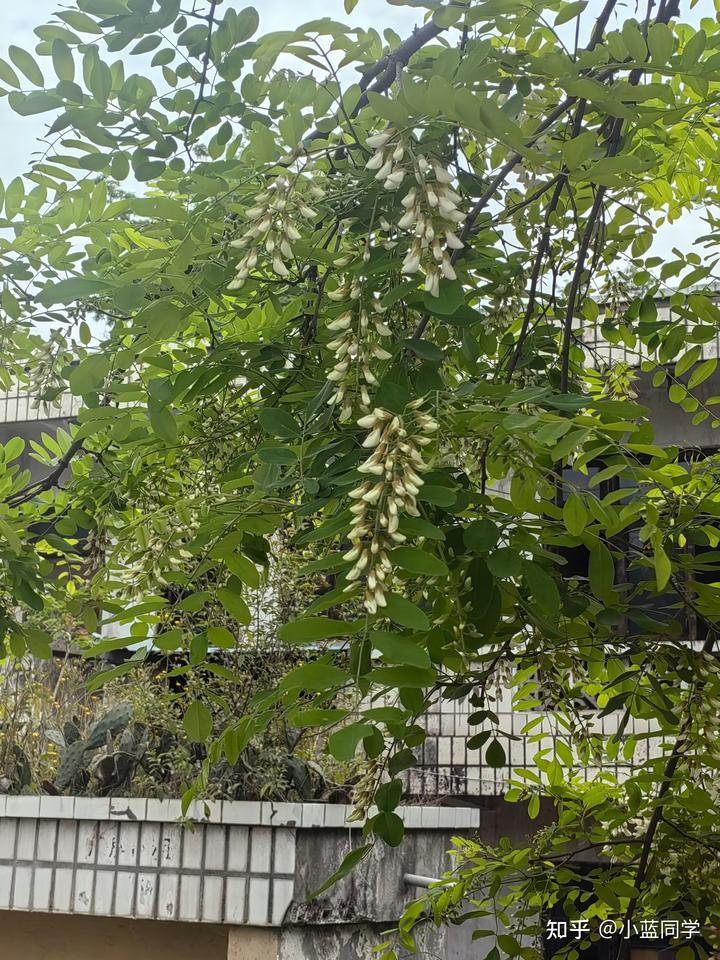 人，可以废物到什么程度？