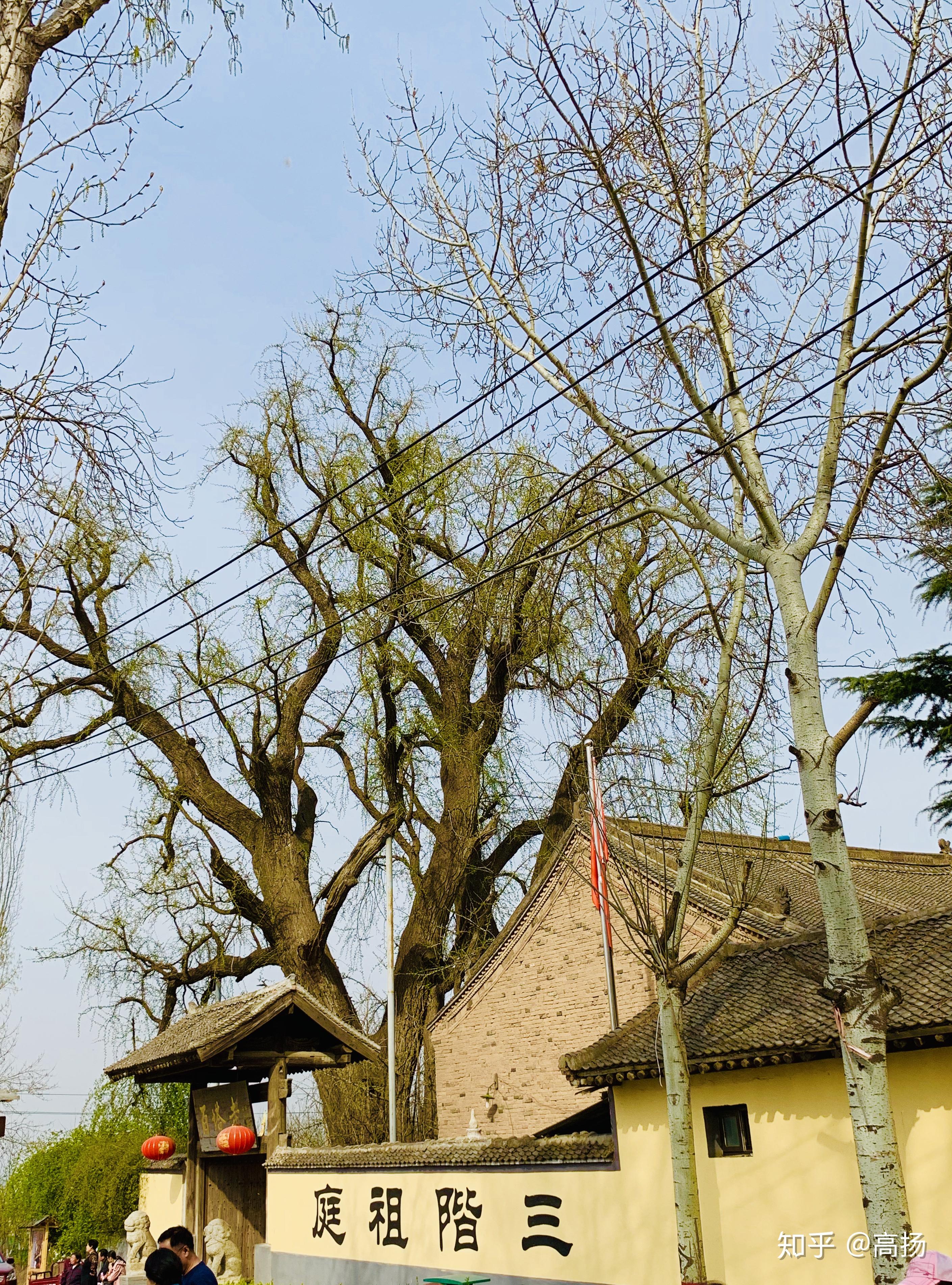 无尽藏藏无尽终南山下百塔寺