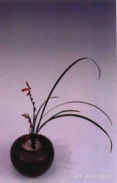 生活插花有哪些固定方法呢 知乎
