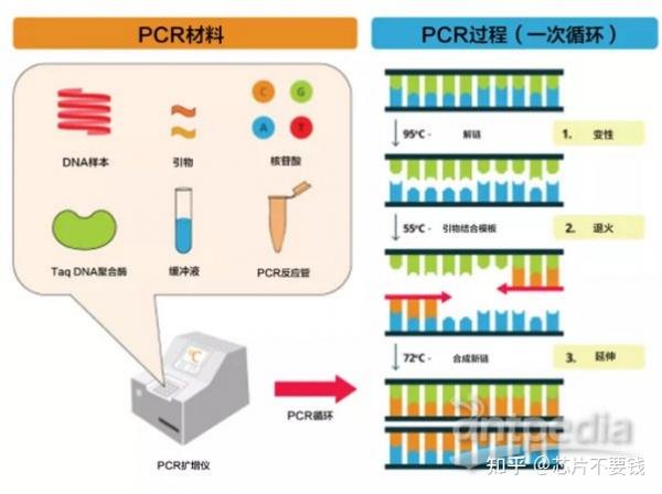 PCR技术集成于生物芯片 - 知乎