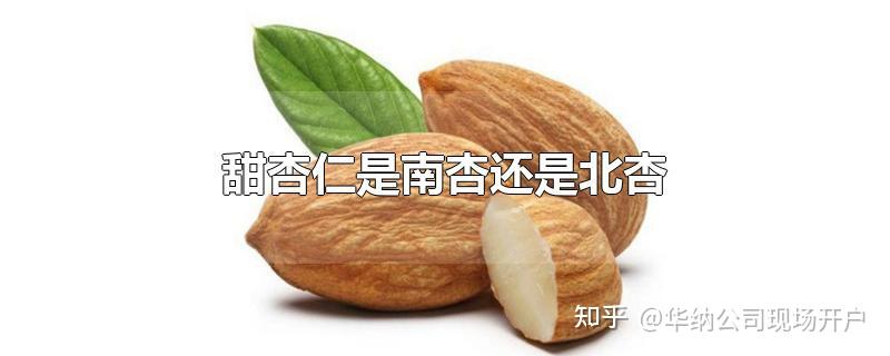 怎么区分甜杏仁和苦杏仁? - 知乎
