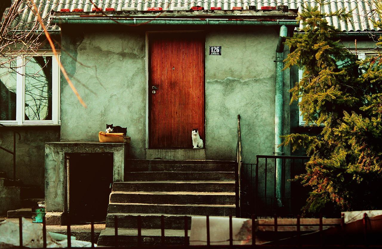 1. 社区互动活动