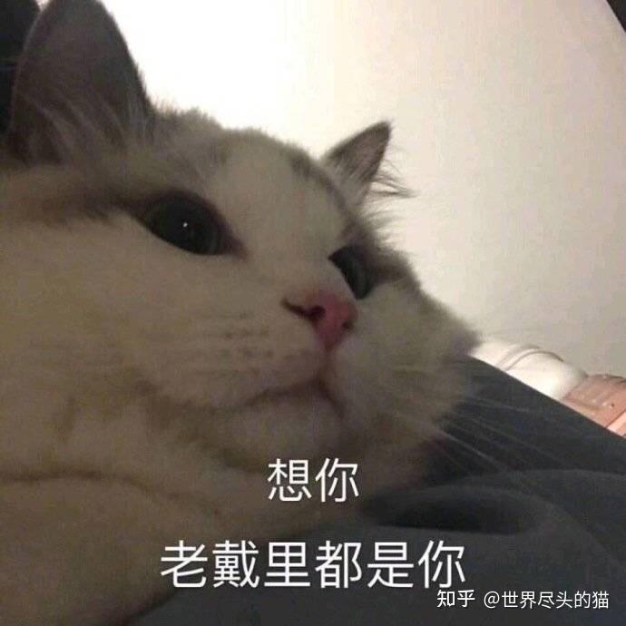 兵哥哥真的好忙吗