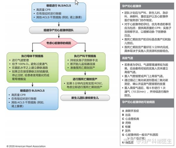 孕妇心脏骤停 如何按压抢救 就看此文 知乎