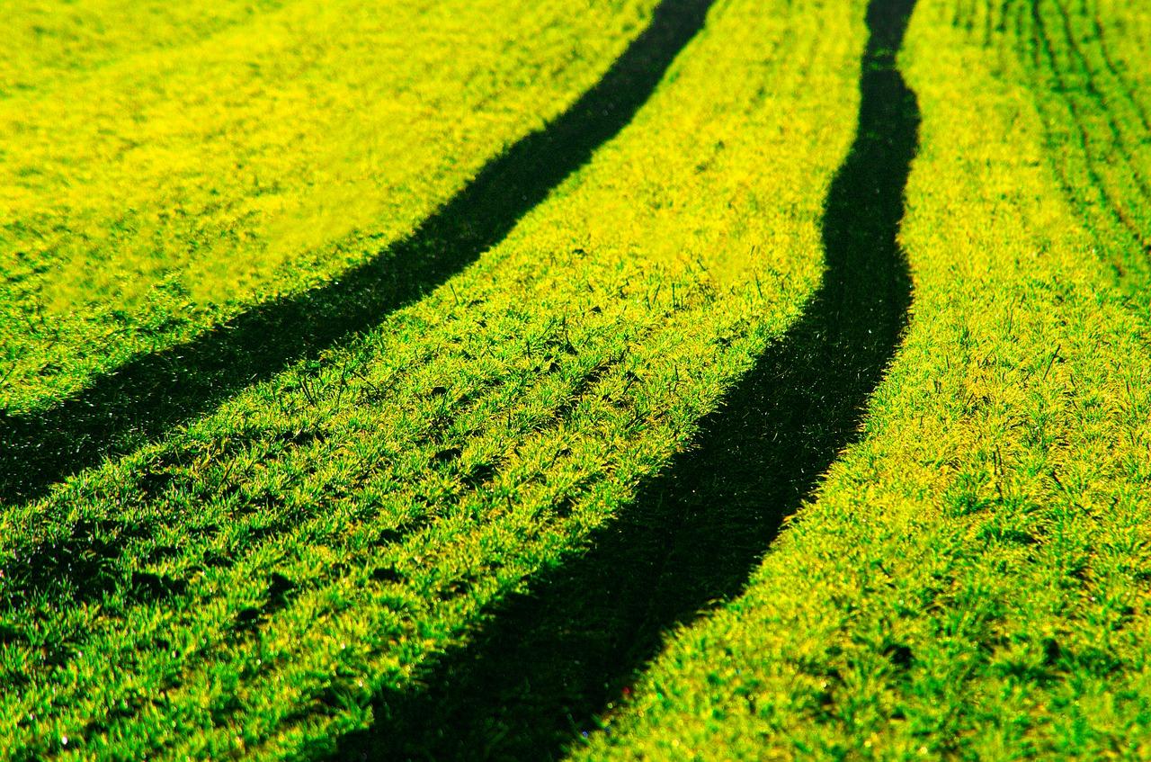 4. 编码标准规范