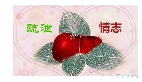 (一)肝主疏泄:所谓疏泄,即指疏通,畅达,宣散,流通,排泄等综合生理功能