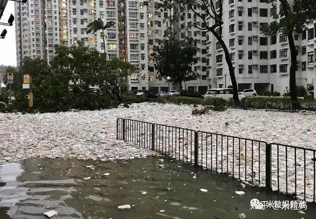 全国人民都在笑看上海垃圾分类可最后竟看哭了