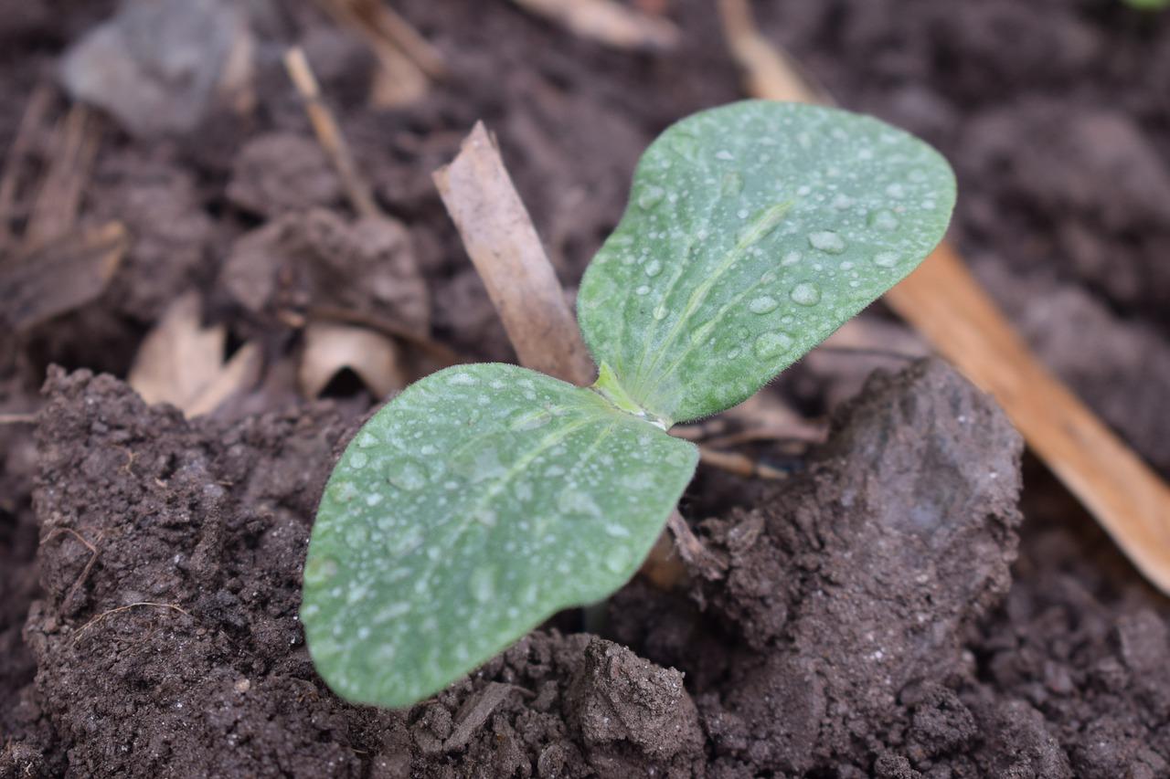 播种快乐,收获成长