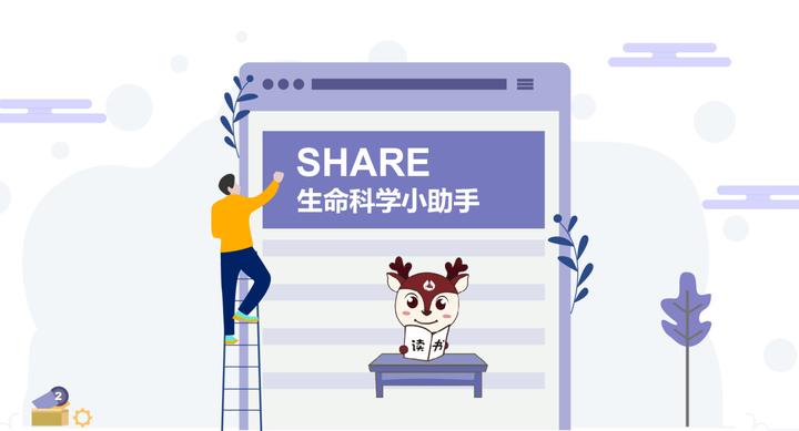 心肌细胞的结构特征介绍 - 知乎