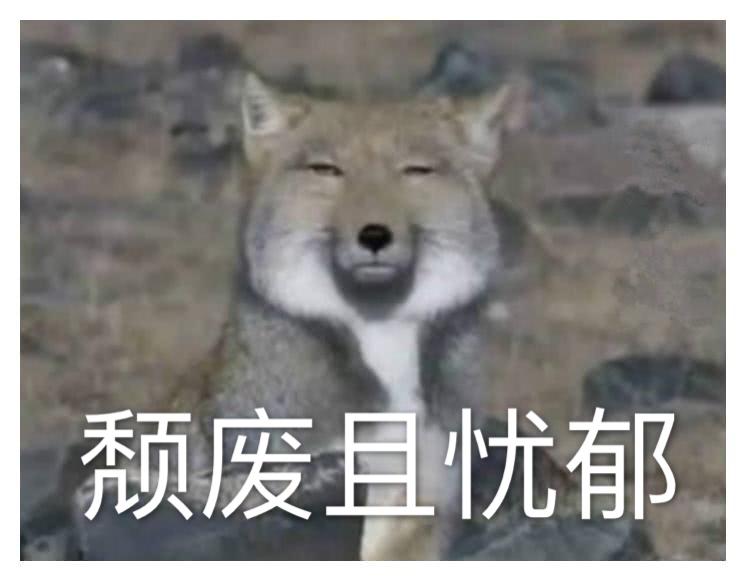 求好看的女生修仙小说推荐?