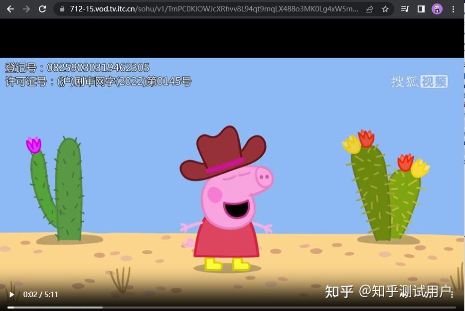 如何下载搜狐SOHU视频插图6