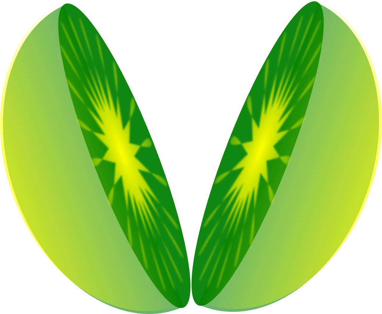 熟的猕猴桃如何保存