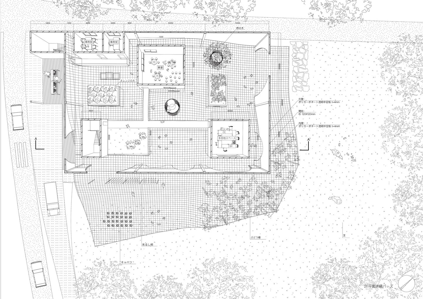 堺合格纪第十八期 孙曜璇 明治大学建筑学科建筑 都市学专攻 知乎