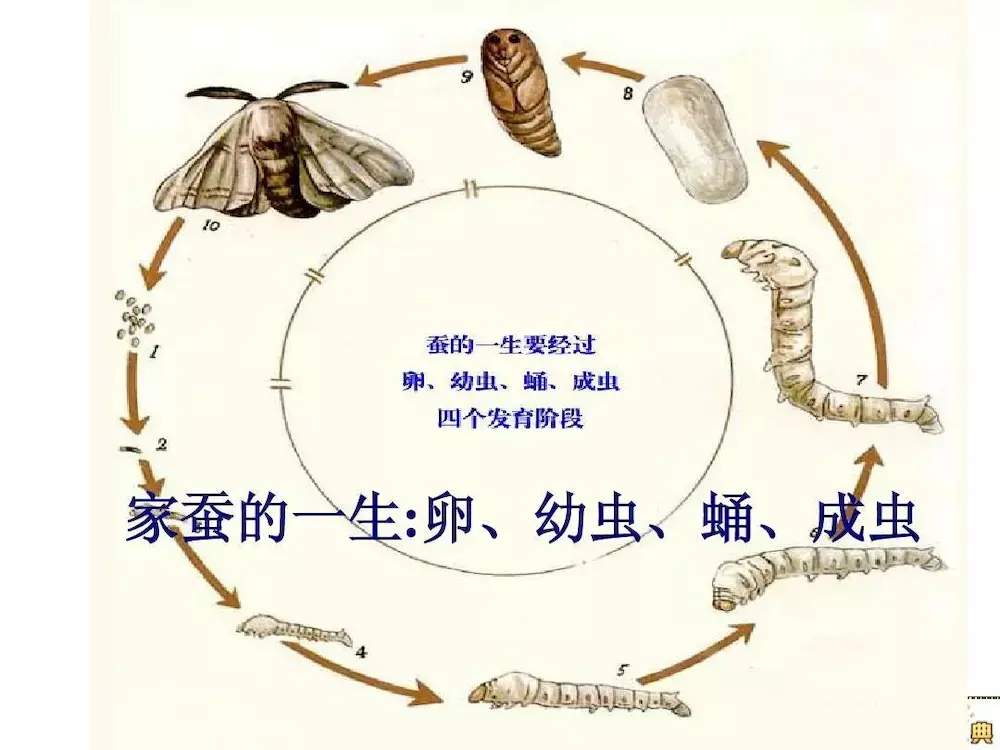 一个SAP开发人员的养蚕流水帐 - 知乎