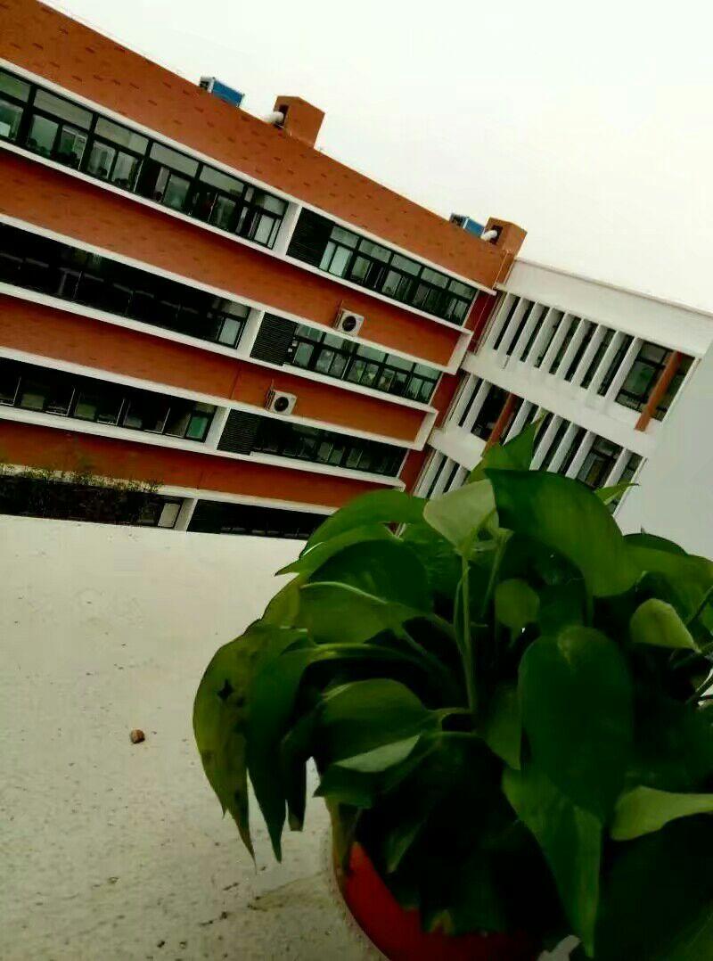 在徐州矿大附中读书是一种怎样的体验?