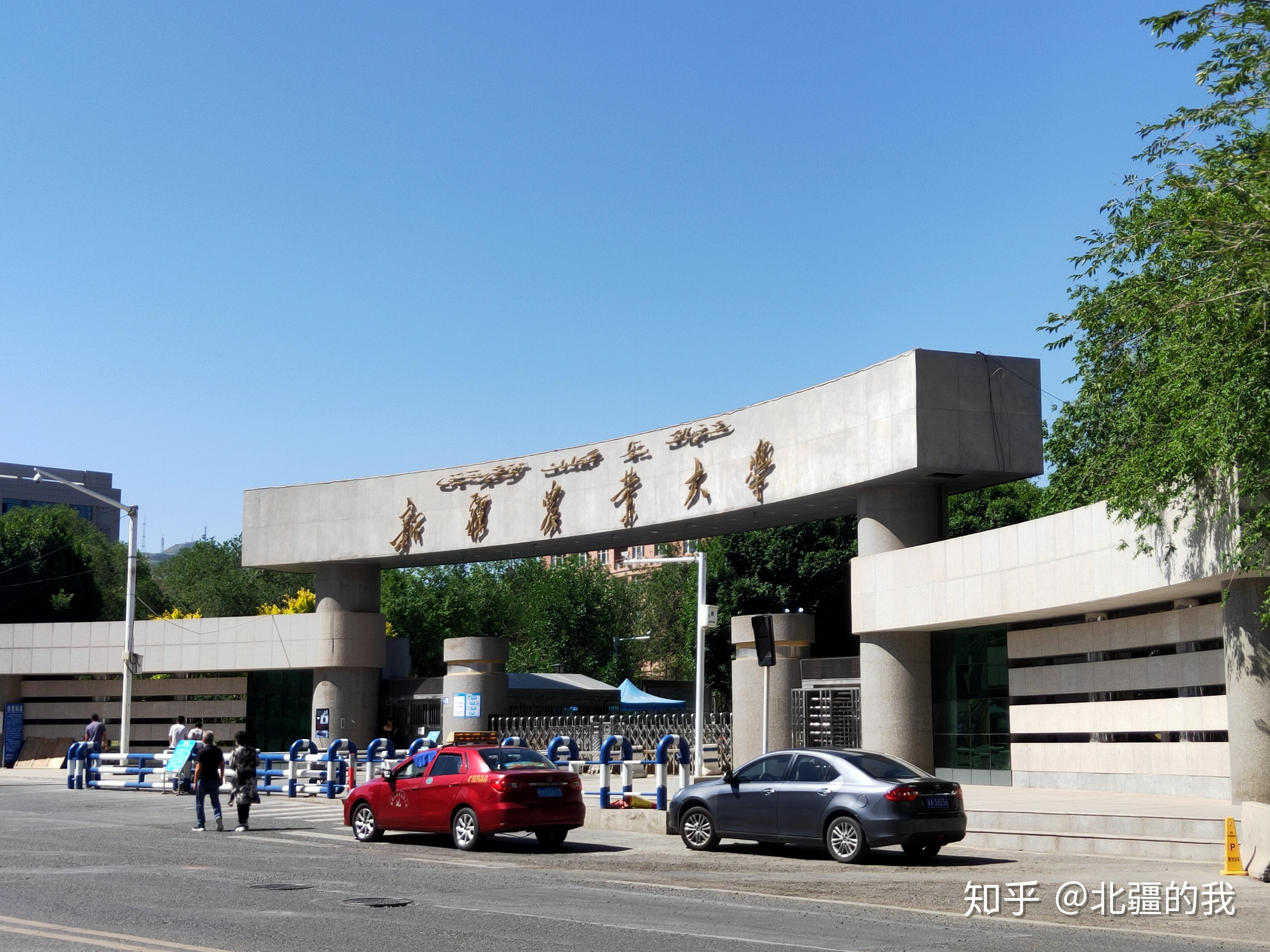 一句话描述新疆农业大学的食堂有多好吃