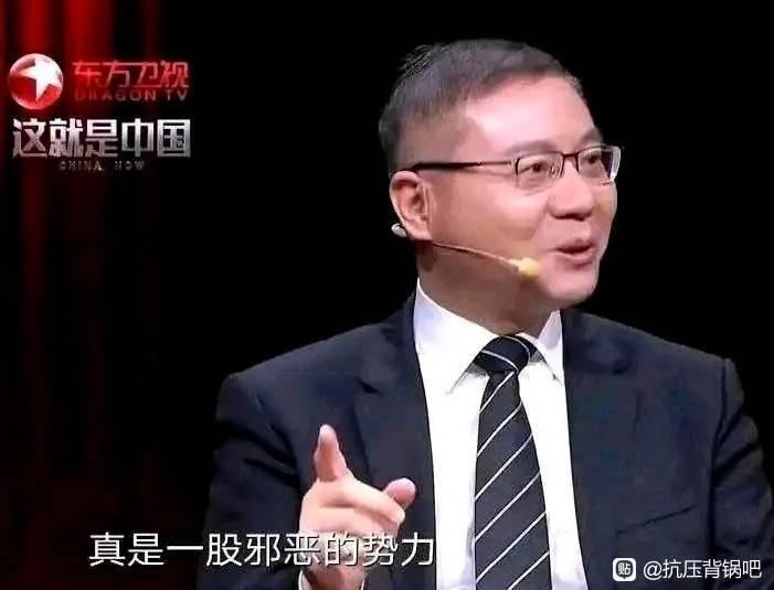 为什么张维为的大量表情包会在网络上走红?