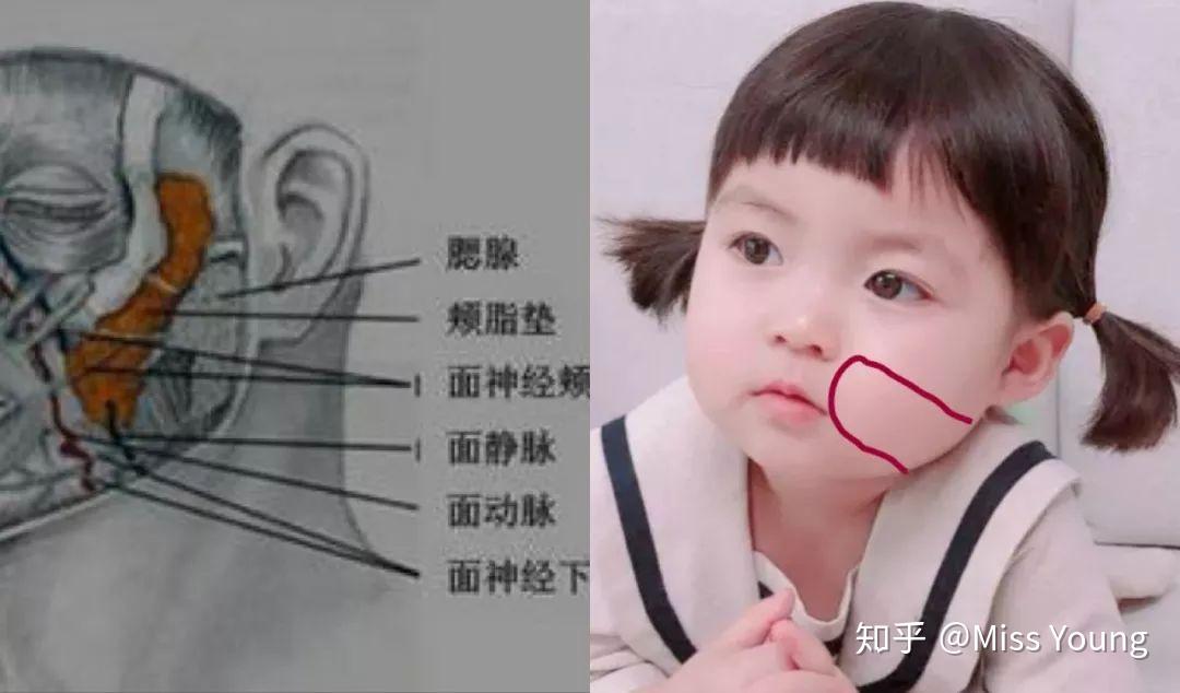 怎么拥有婴儿肥的脸 v2-c7cc82125b4a7ac3ba7aeeb44485be63_r.jpg