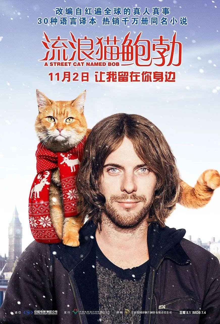 有哪些与猫有关的电影？
