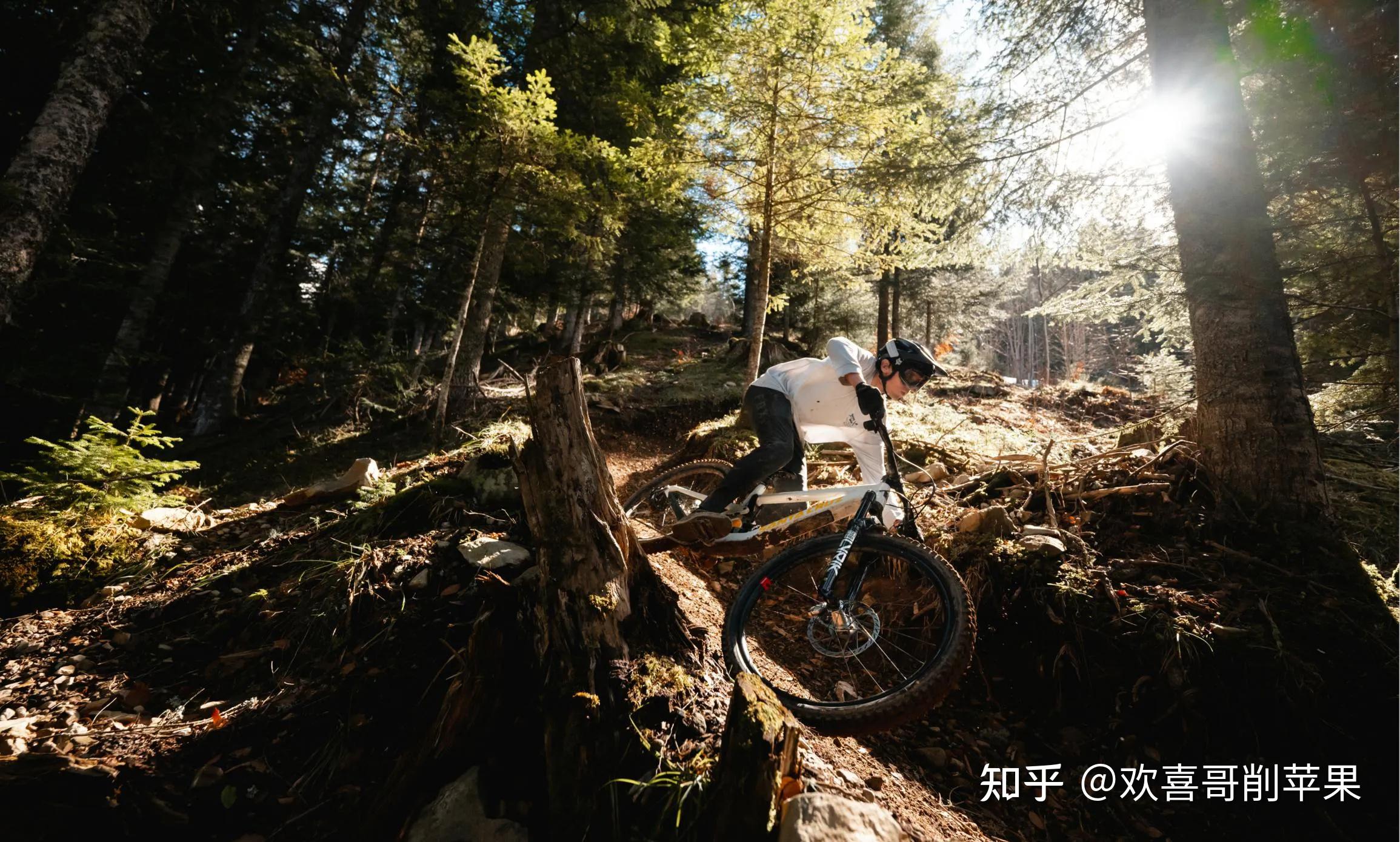 世界上最好的自行车:美国自行车品牌前 5 强