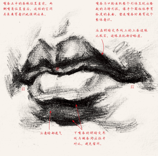 素描干货分享 五官 超详细的人体五官 嘴唇正侧面画法分析 知乎