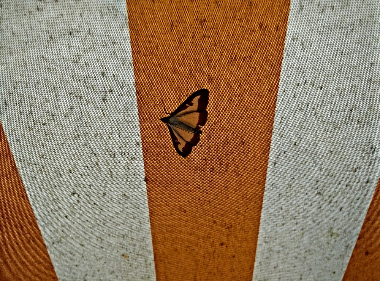 窗帘拉绳怎么安装