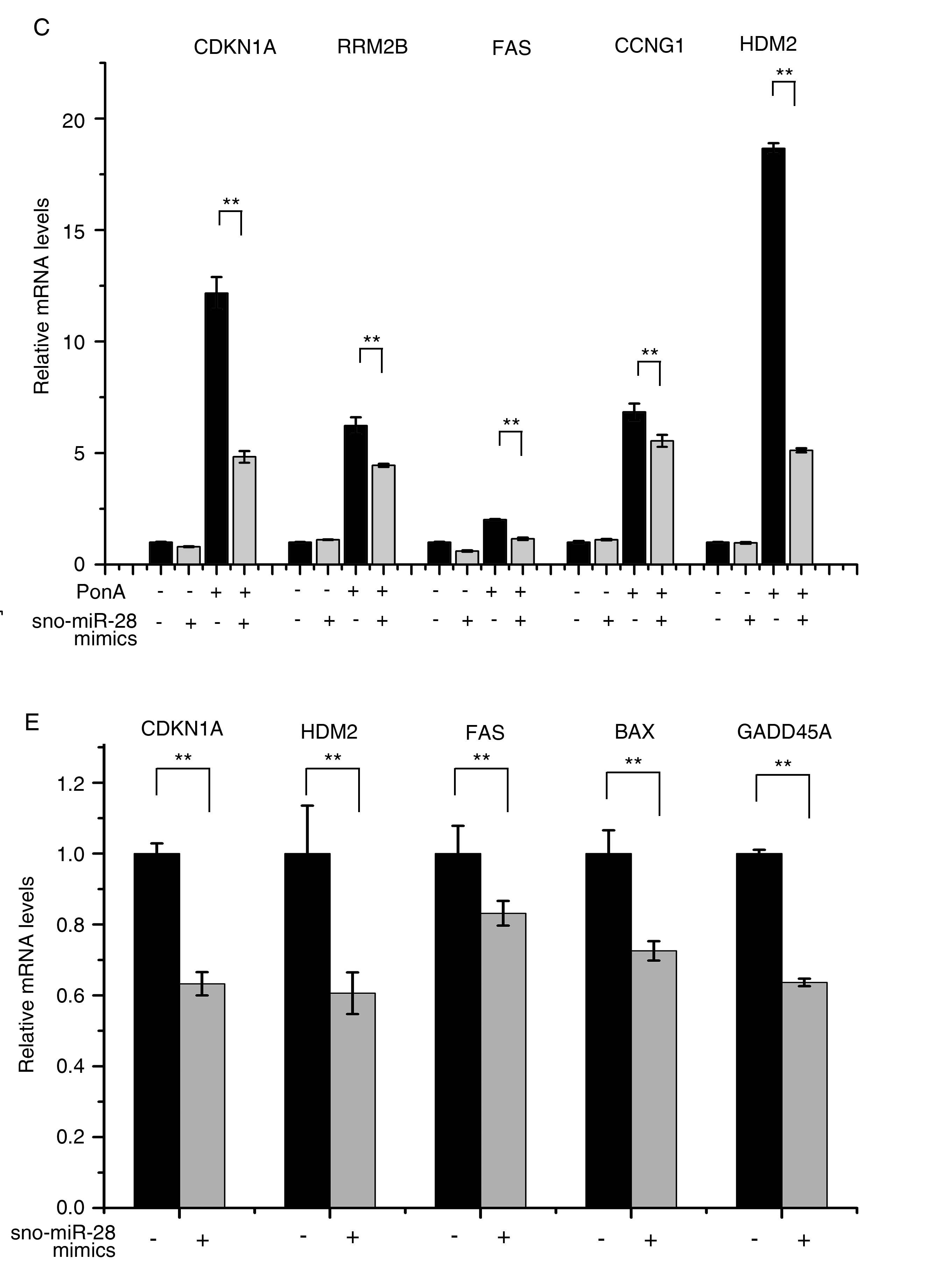荧光定量pcr是用来干什么的