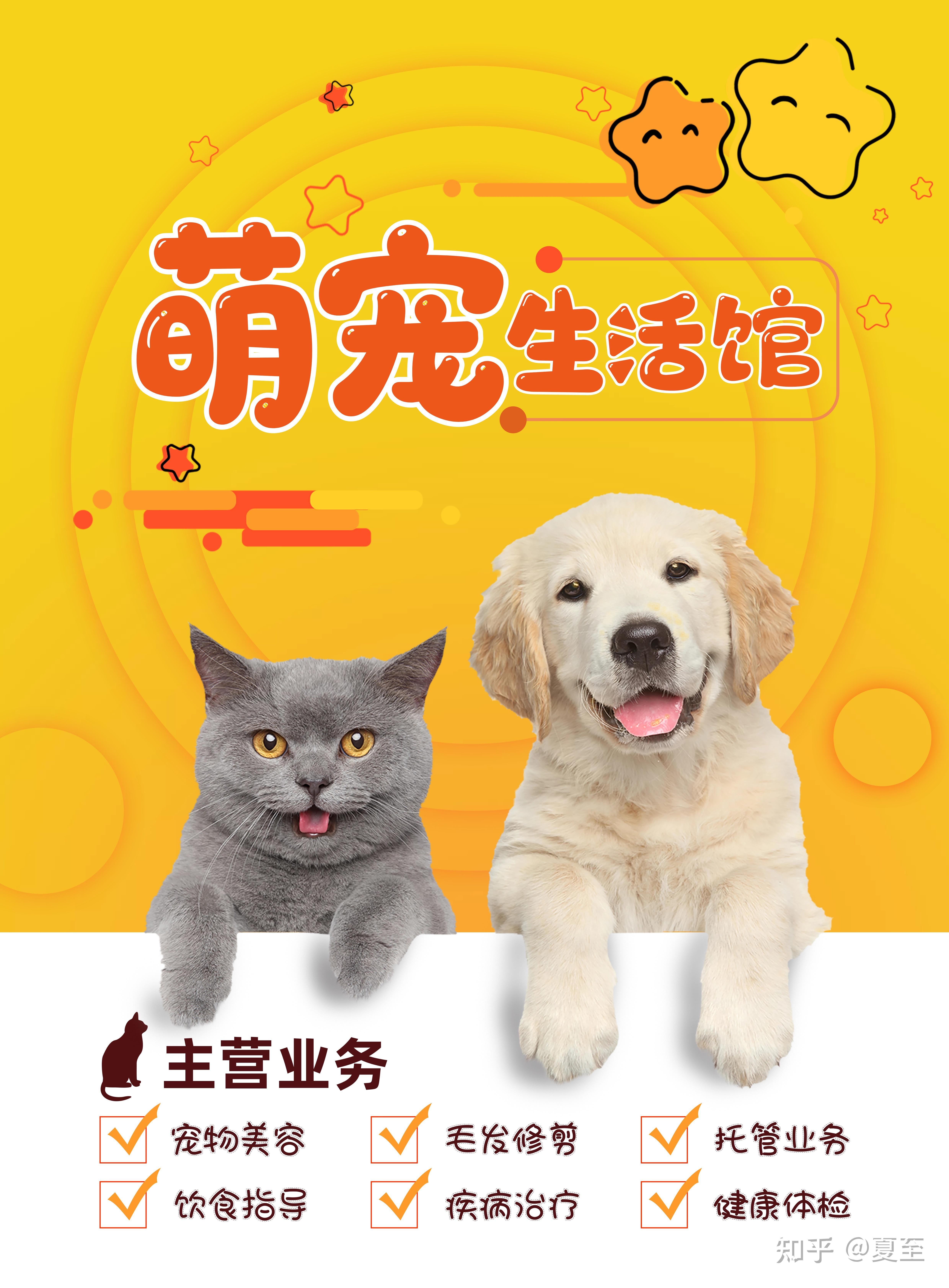 关于宠物美容海报,我是一个学生,第一次做海报,请老师给点意见? - 知