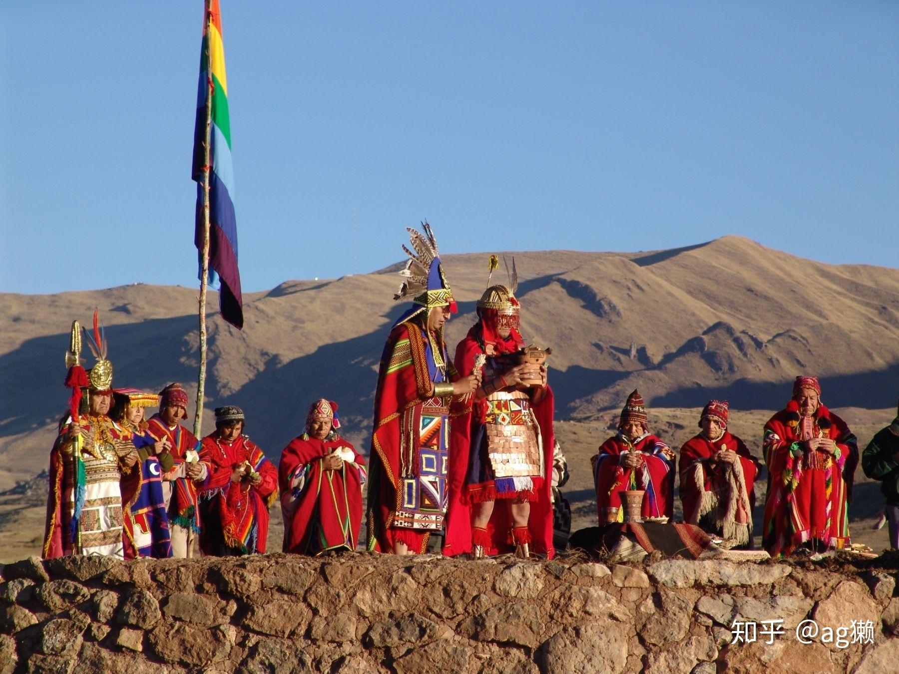 菠萝,烟草,驯化了羊驼,骆马和豚鼠,印加农业,就是安第斯传统农业文化