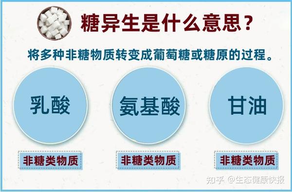 糖异生是什么意思呢?维兰尼揭秘它的真相! - 知乎