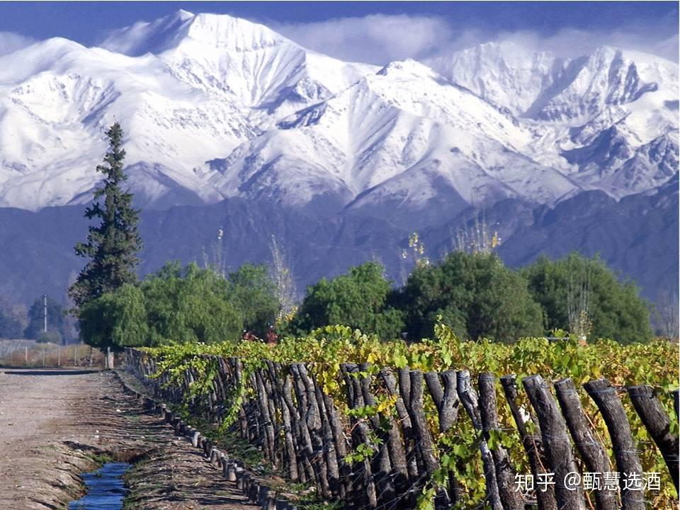 迈波谷maipovalley南美洲的波尔多