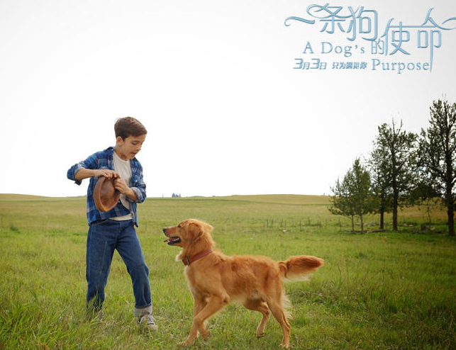 v2-c7fad1ac432fa6647cac6aad53b91beb_1440w.jpg?source=172ae18b