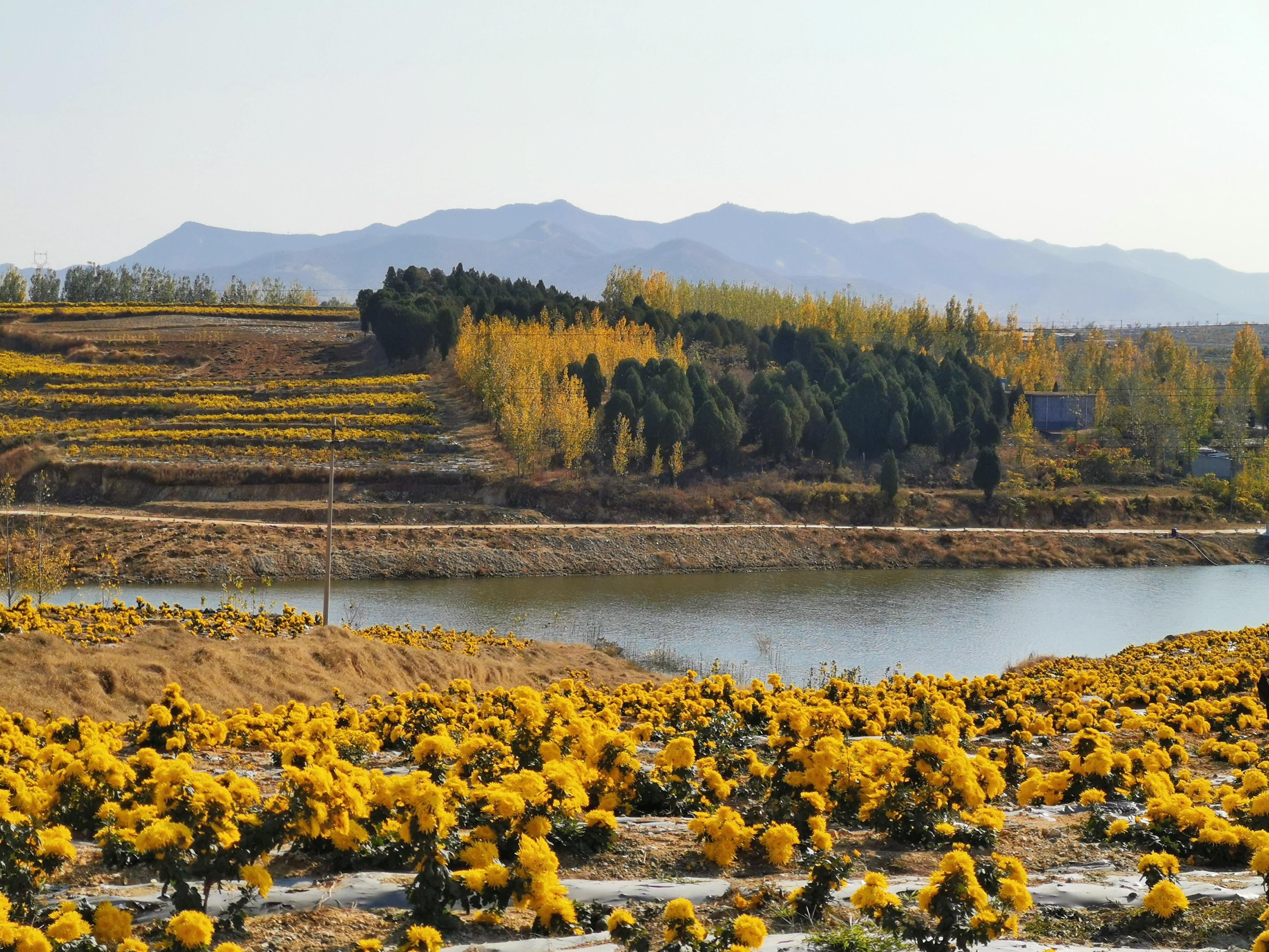 走进良心谷九万里悟道终归诗酒田园