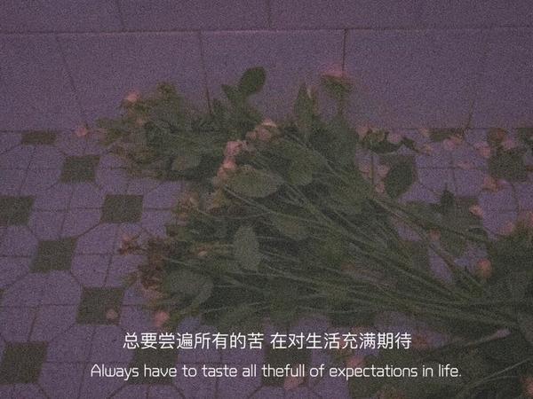 文案|你往细节看一眼 爱与不爱太明显了 - 知乎