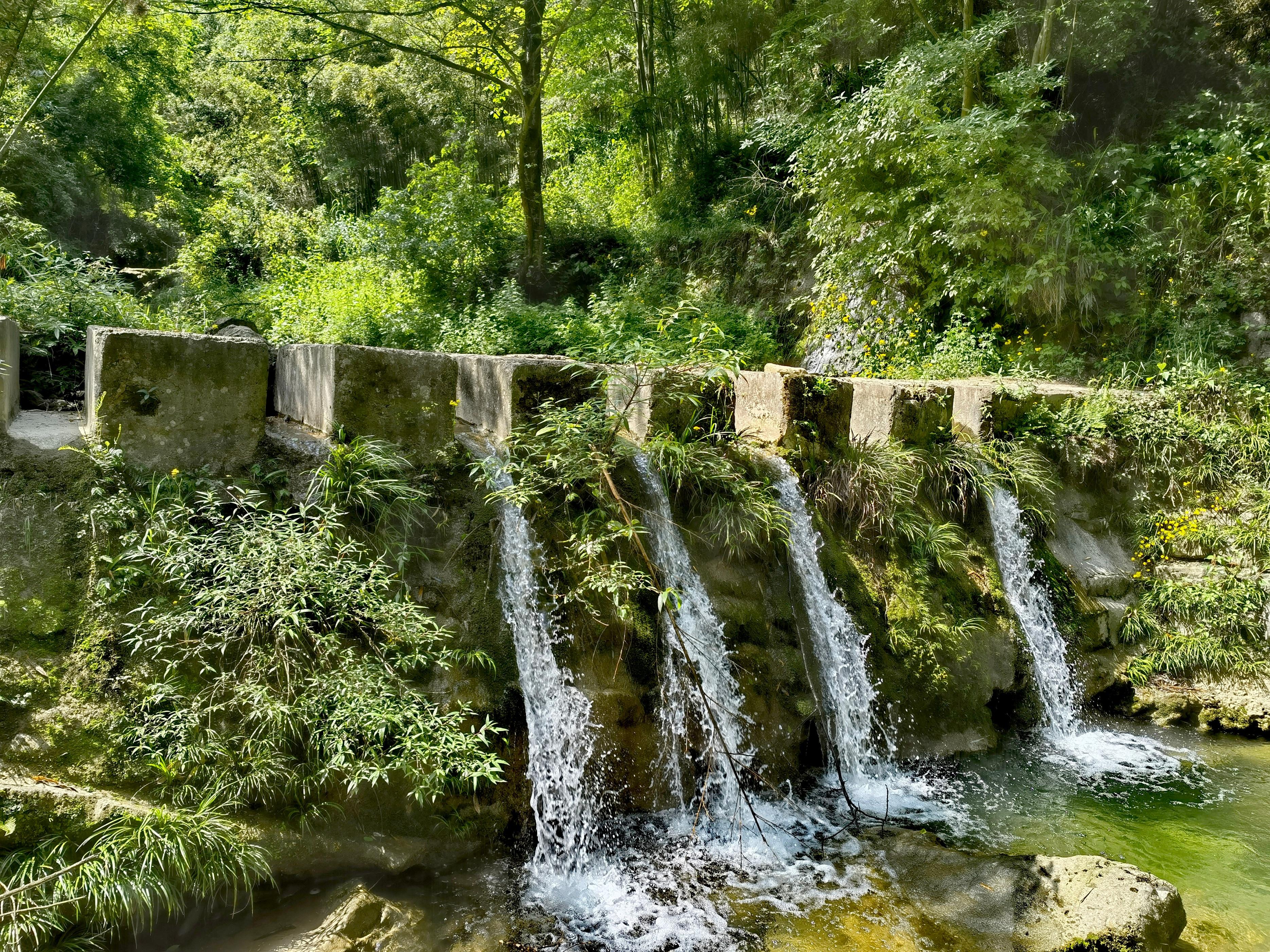 铜马沟竹海公园,成都前往只需要1个半小时,旅游避暑消夏好去处