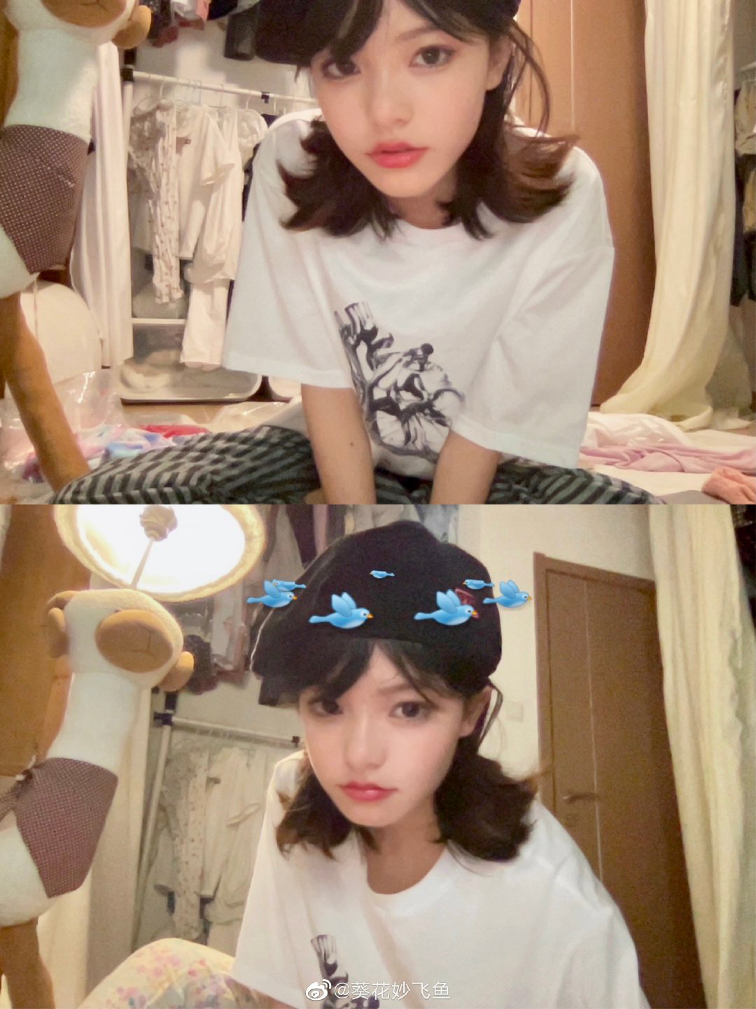 如何评论葵花妙飞鱼? - 知乎