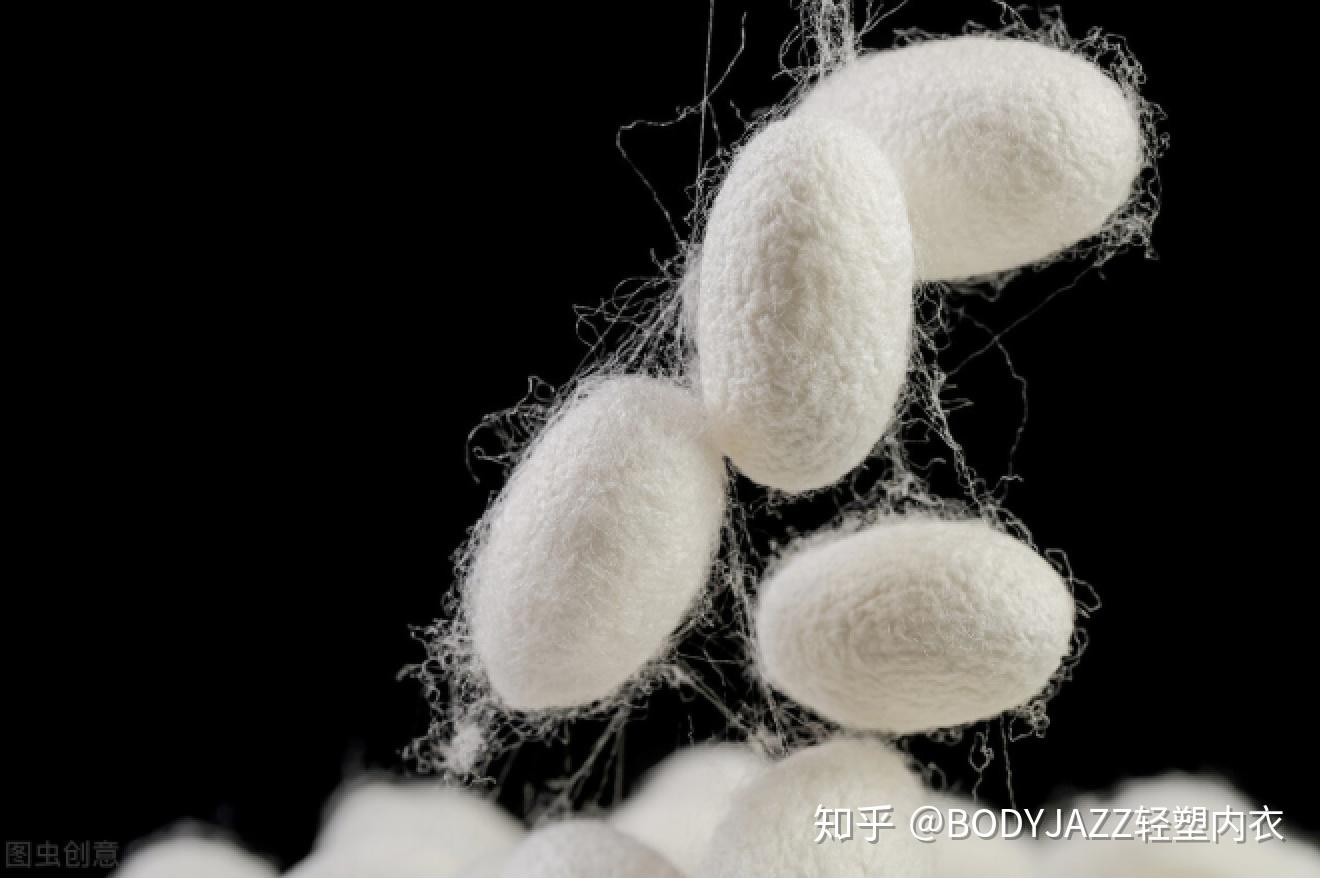 真丝一般指蚕丝,包括桑蚕丝,柞蚕丝,蓖麻蚕丝,木薯蚕丝等.