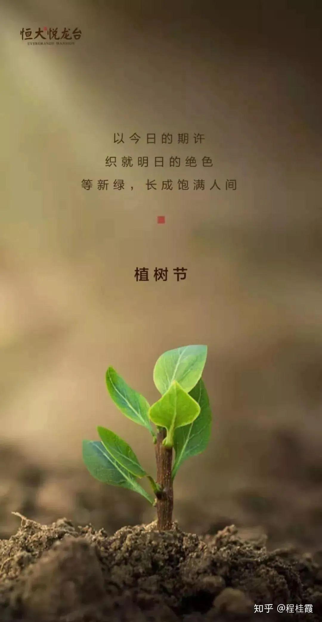 2020年植树节图片