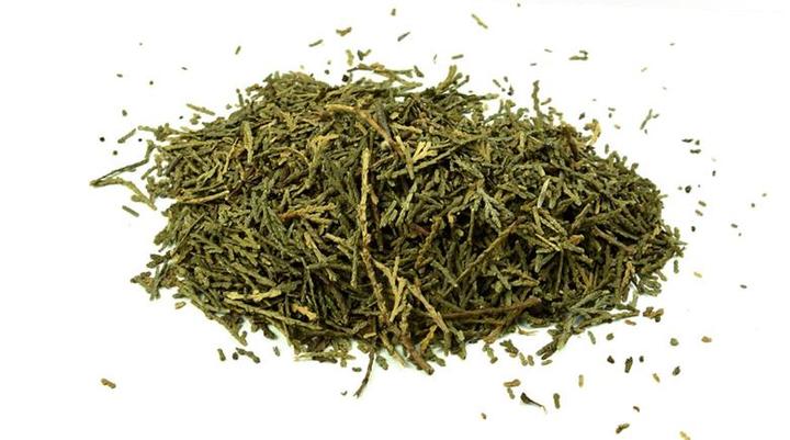 侧柏叶能生发吗?用它终于长出头发了! - 知乎