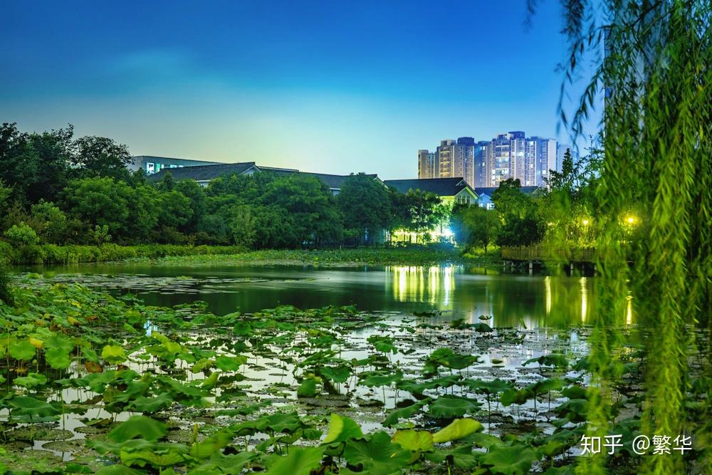 成都工业学院的校园环境如何? - 知乎