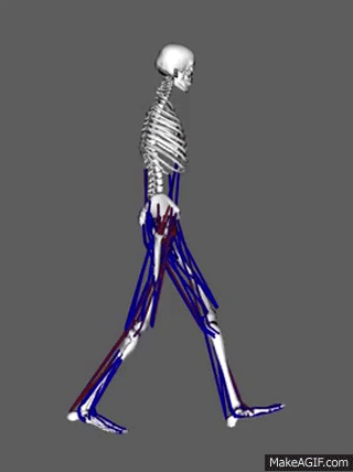 骑自行车上坡为什么比推着更累?-软件乐园